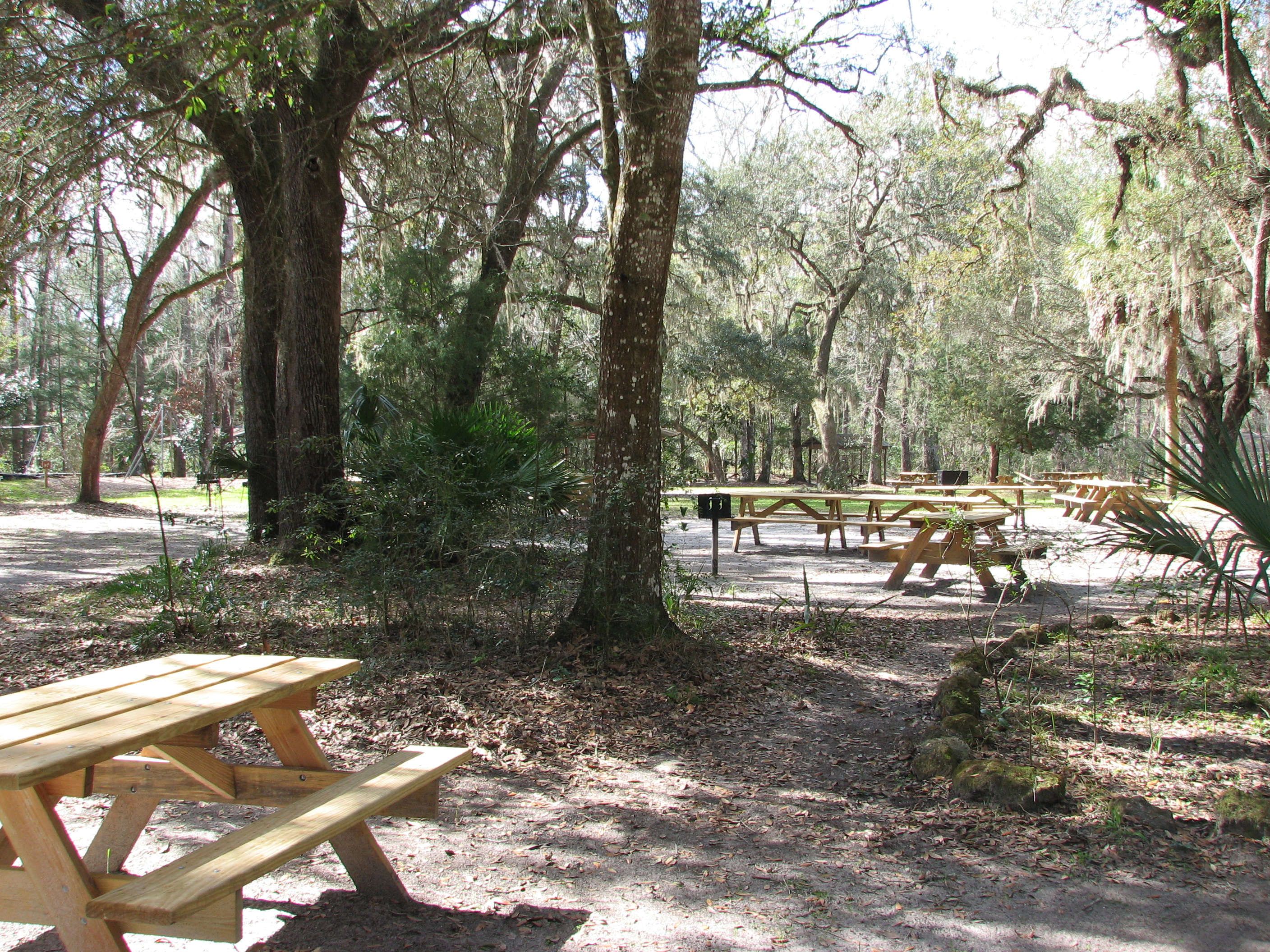 Beautiful picnic area at Fanning Springs Park