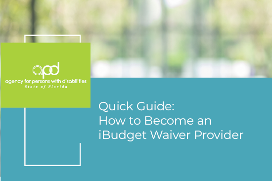 Provider Quick Guide Graphic
