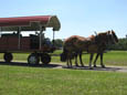 The horse-drawn wagon at Sunland Center provides recreation as well as a practical way to get around the campus
