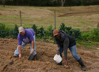 Farm